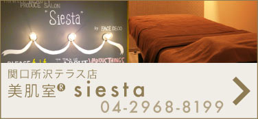 関口所沢テラス店・エステサロンFACE DECO Beauty Salon　siesta -シエスタ-
